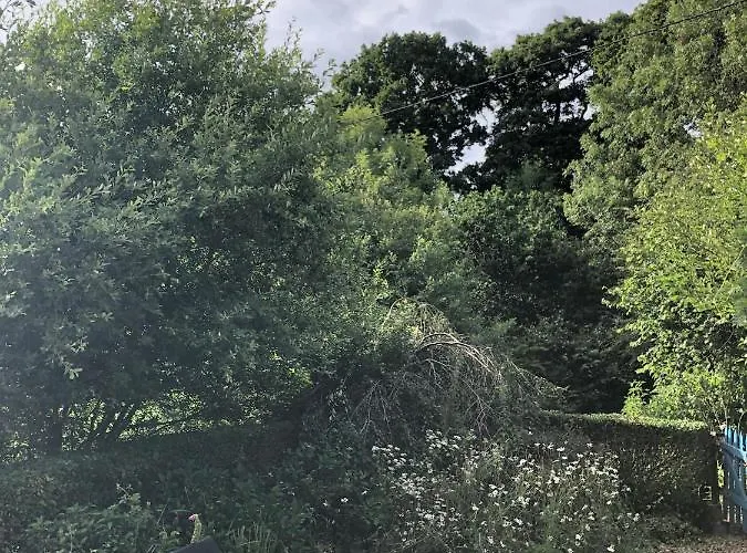 Guest house Chez Maupassant *